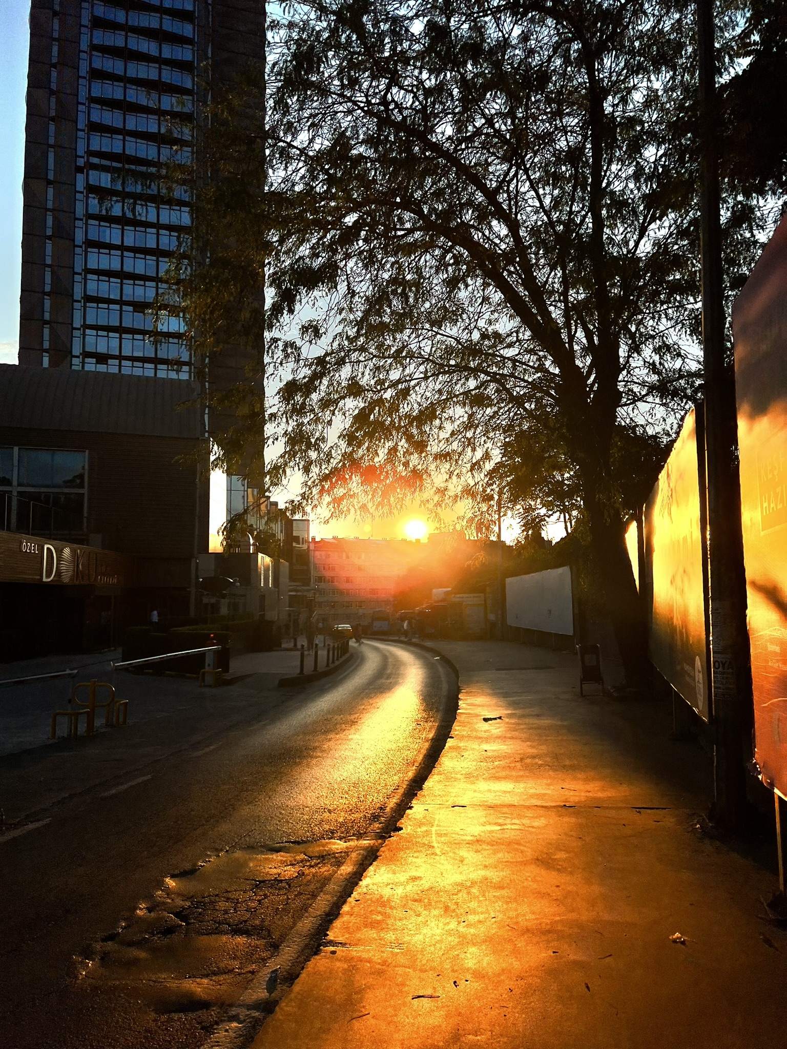 Golden hour street scene